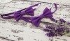 _BALTAS NR. 92 - papildoma violetinė varlytė