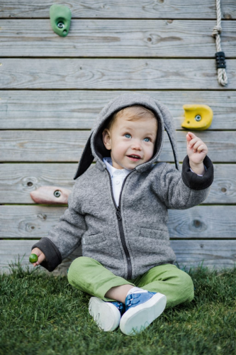 Vilnonis paltukas pilkas kiškis